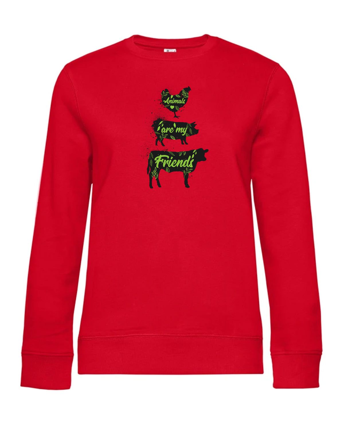 bundle-src:https://cdn.shopify.com/s/files/1/0946/1078/4639/files/WW01Q_P_BC_004_01.jpg?v=1773217929