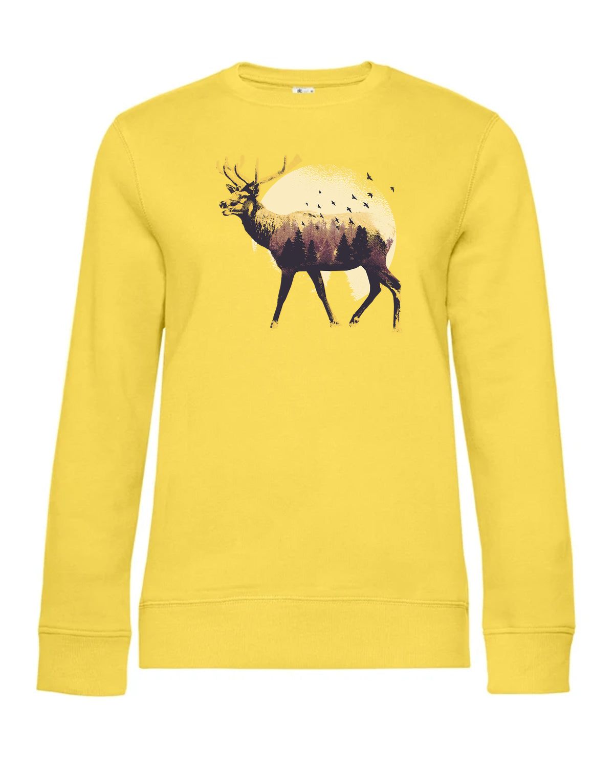 bundle-src:https://cdn.shopify.com/s/files/1/0946/1078/4639/files/WW01Q_P_BC_205_01.jpg?v=1773217929