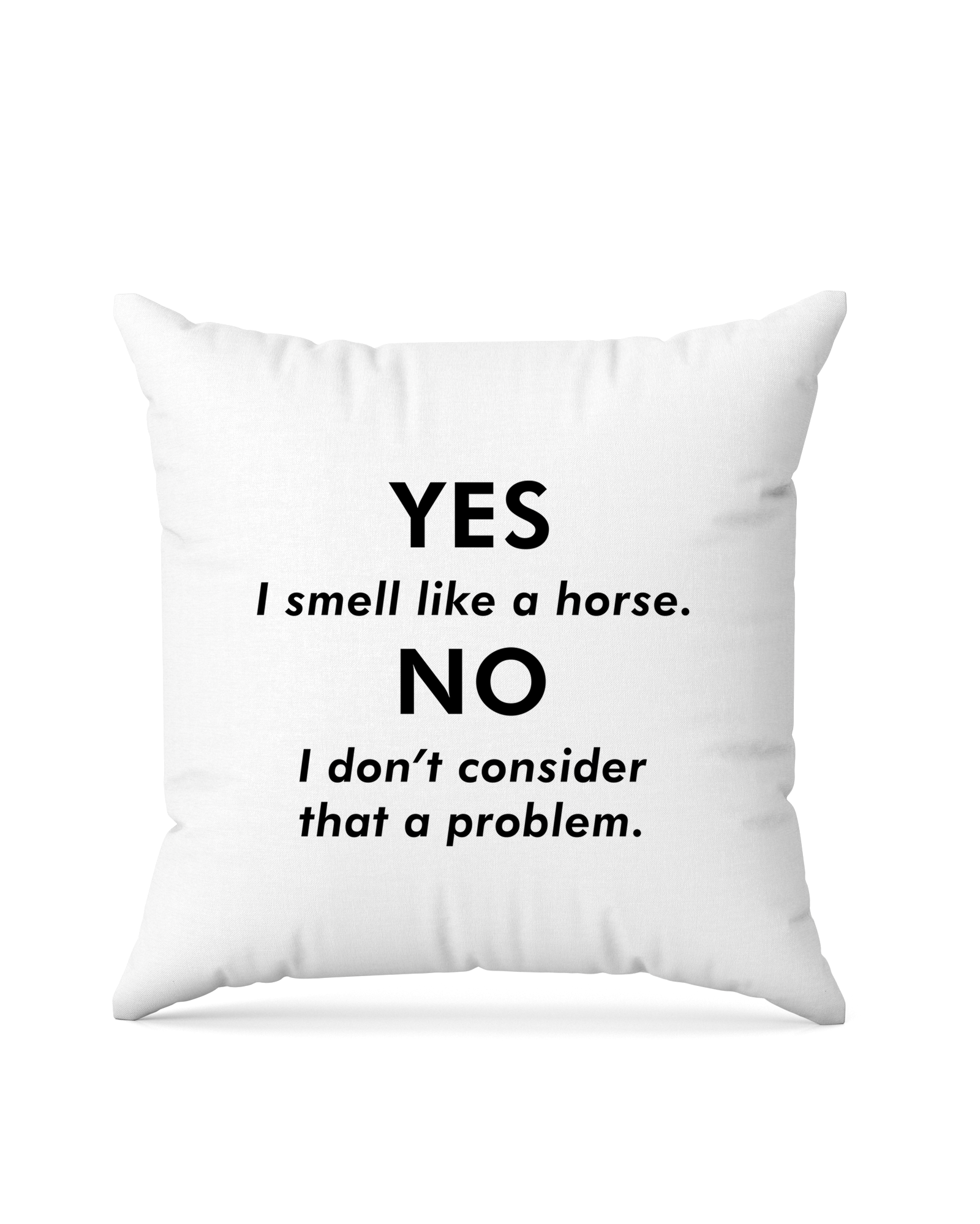 bundle-src:https://cdn.shopify.com/s/files/1/0946/1078/4639/files/Square_pillow_2048x2048.png?v=1772101559